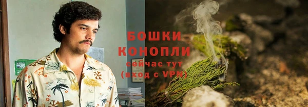 ПСИЛОЦИБИНОВЫЕ ГРИБЫ Нея