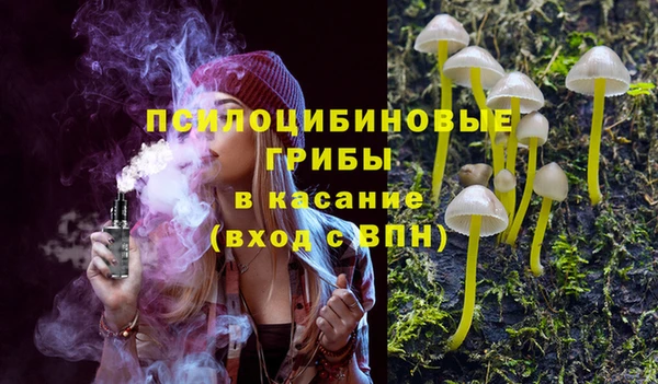 крисы Алзамай