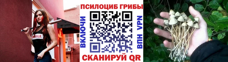 Галлюциногенные грибы Cubensis  купить   Сортавала 