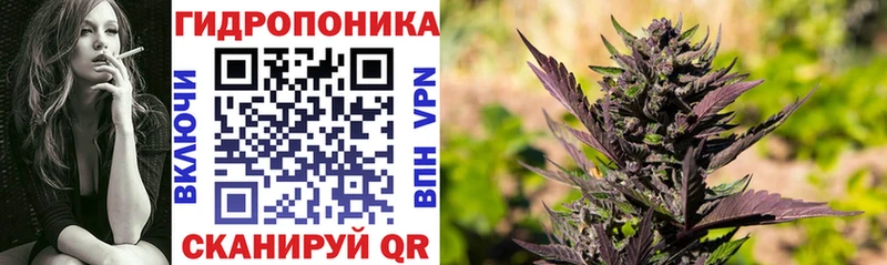 Канабис планчик  Сортавала 